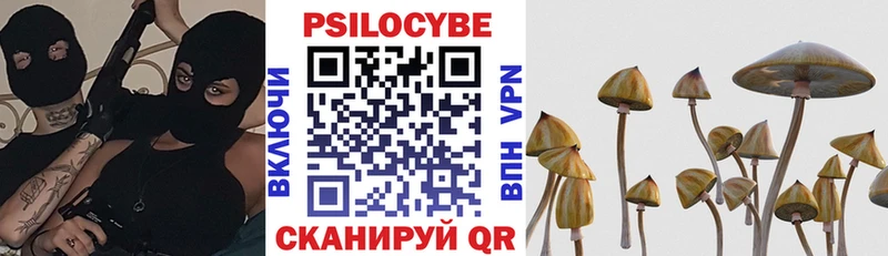 Псилоцибиновые грибы MAGIC MUSHROOMS  Тбилисская 